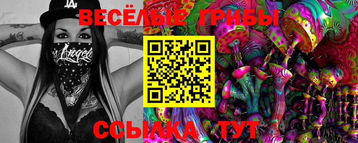 Галлюциногенные грибы Cubensis Янаул