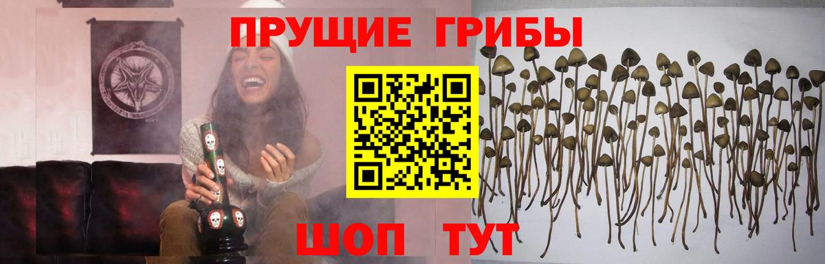 купить наркотик  Псилоцибиновые грибы прущие грибы  Янаул  Вход с VPN  Галлюциногенные грибы ЛСД 